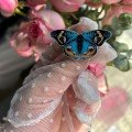 Butterfly 
Clay Brooch