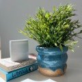 Bubble 
Ceramic Planter