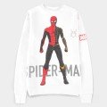 Spiderman 
Boys Sweater