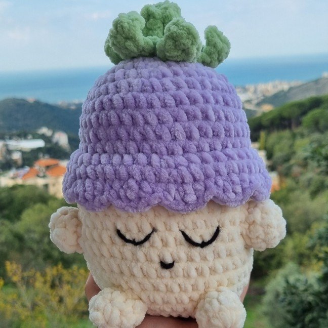 Blueberry Kid 
Crochet Plushie
