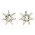 Crystal Star 
Earrings