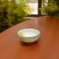 Blossom Protea Ceramic 
Small Soup Bowl