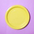 Yellow Ice Cream Paper 
Tableware Party Set