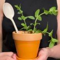 Plantable 
Cutlery Set