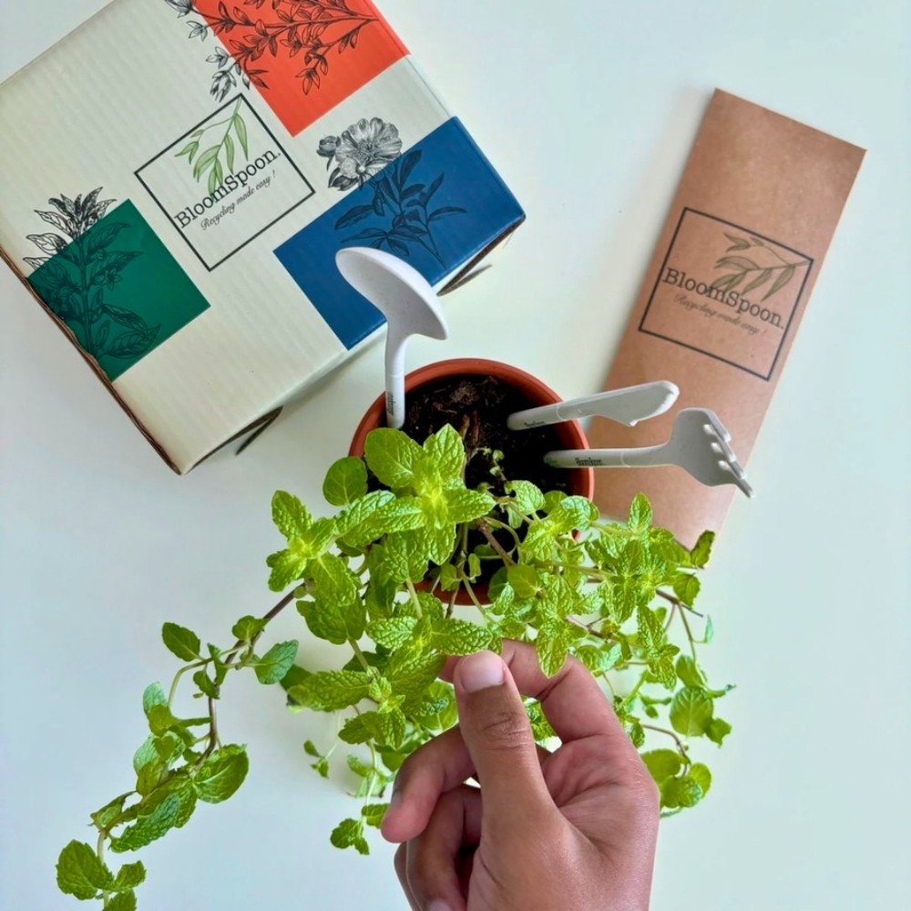 Plantable 
Cutlery Set