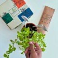 Plantable 
Cutlery Set
