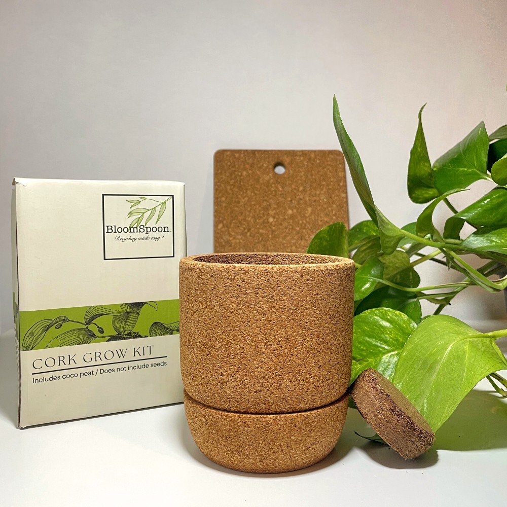 Cork 
Grow Kit