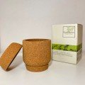 Cork 
Grow Kit