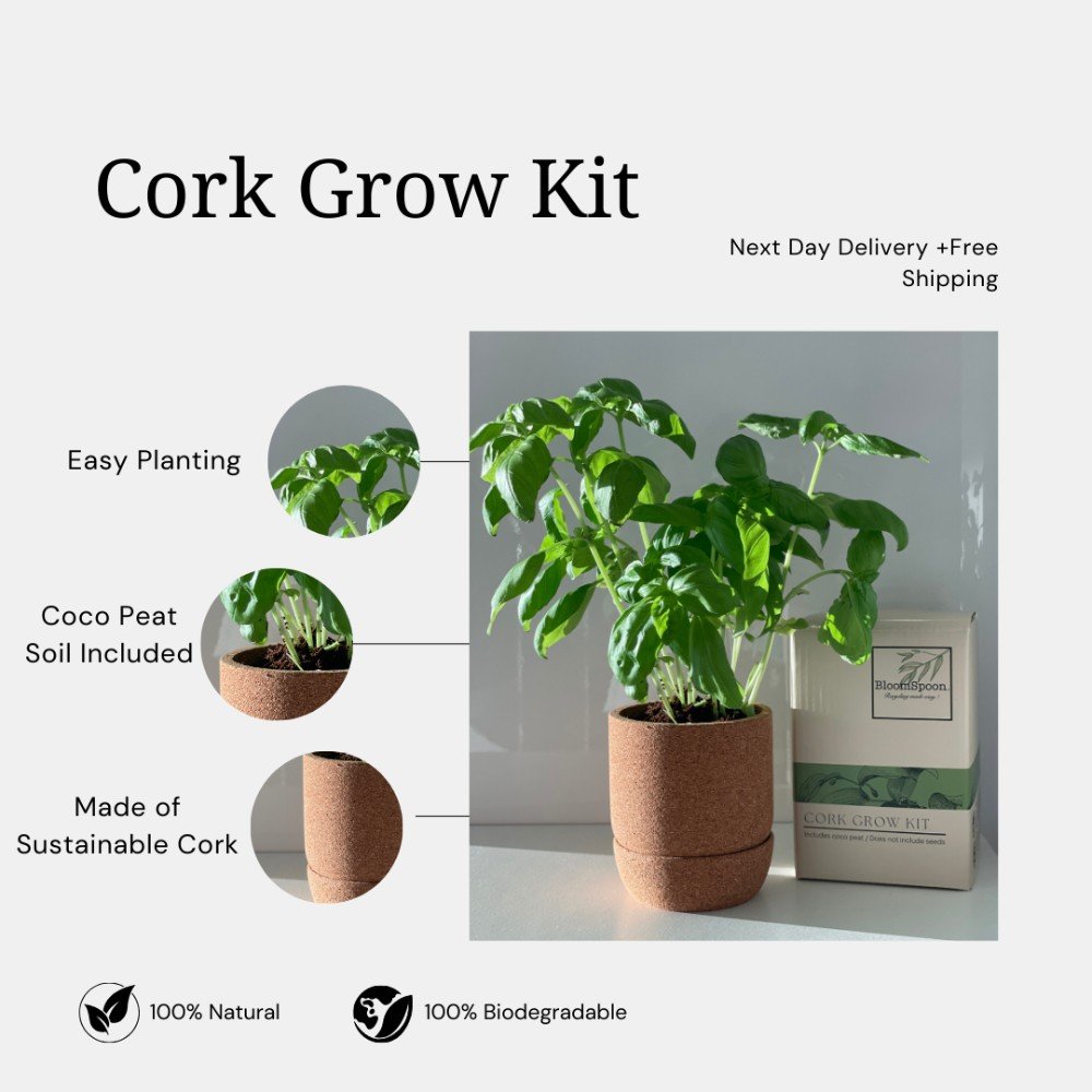 Cork 
Grow Kit