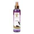 Body Splash:
Khan El Kaser (250mL)