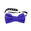 The Classic 
Bow Tie