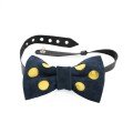 The Big Hole 
Bow Tie