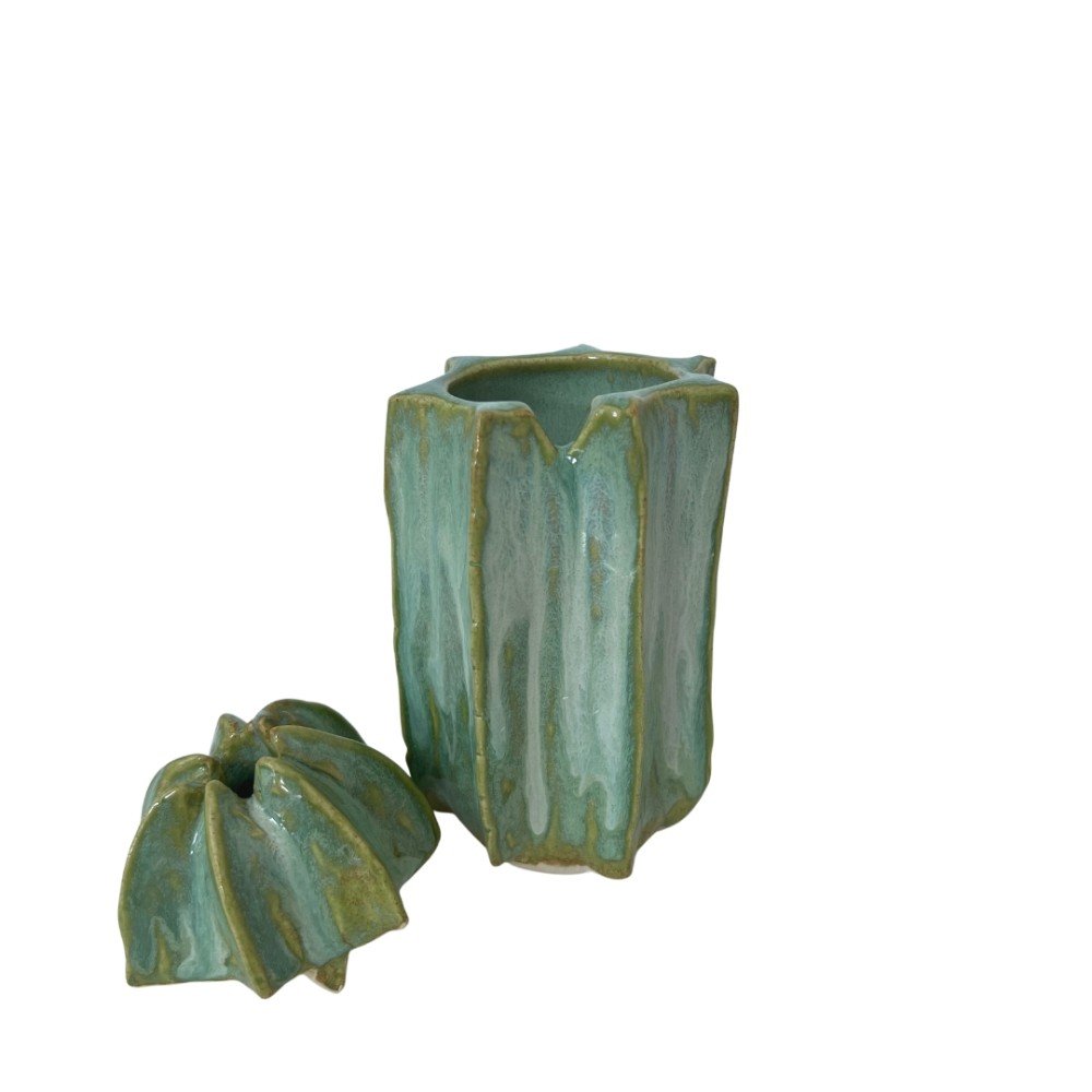 Ceramic Cactus 
Jar/Vase
