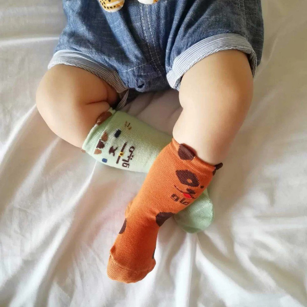 Animals Babies 
Socks Set of 5